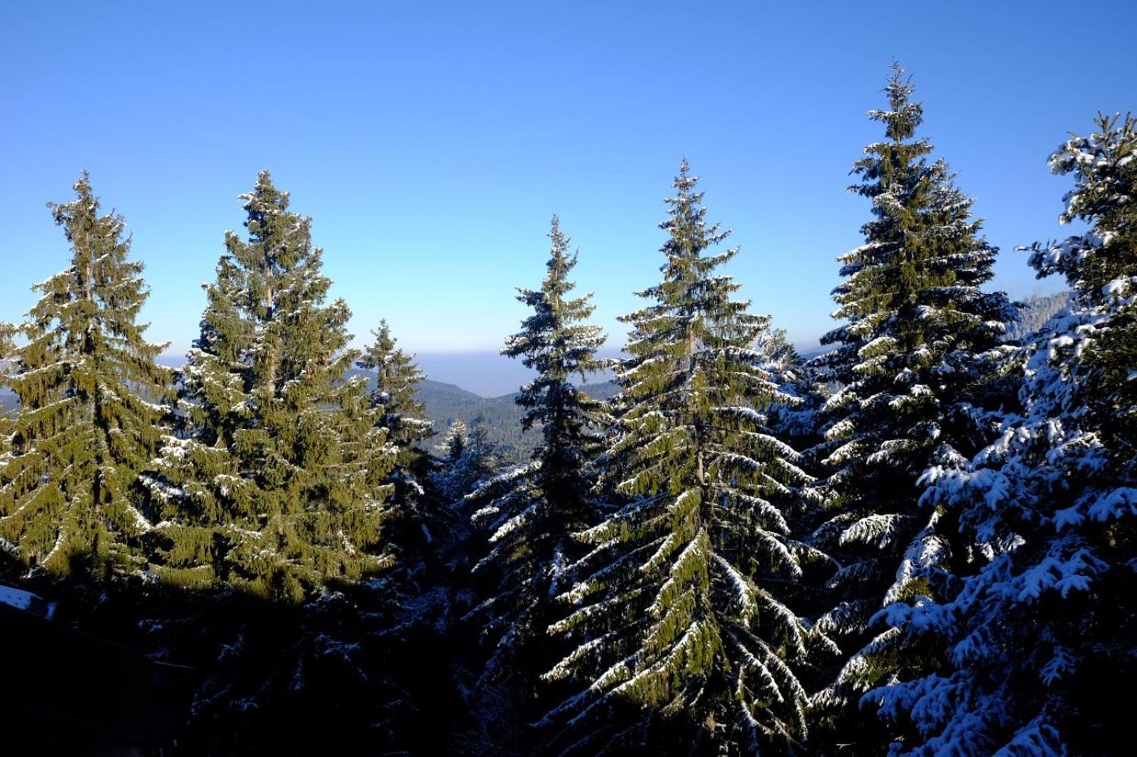 Your Place Borovets Buitenkant foto